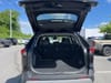 11 thumbnail image of  2024 Toyota RAV4 Adventure