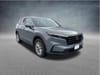 1 thumbnail image of  2025 Honda CR-V EX