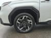 29 thumbnail image of  2025 Subaru Forester Hybrid Limited
