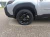 31 thumbnail image of  2025 Subaru Forester Wilderness