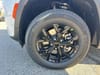 30 thumbnail image of  2026 Jeep Grand Cherokee L Laredo