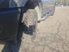 21 thumbnail image of  2026 Ram 2500 Rebel