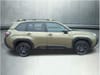 7 thumbnail image of  2026 Subaru Forester Wilderness