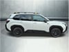 7 thumbnail image of  2026 Subaru Forester Wilderness
