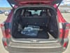 36 thumbnail image of  2026 Subaru Outback Limited