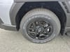 8 thumbnail image of  2026 Subaru Outback Wilderness