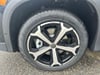 26 thumbnail image of  2026 Volkswagen Tiguan SE