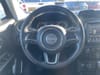 11 thumbnail image of  2018 Jeep Renegade Limited