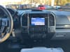 19 thumbnail image of  2019 Ford F-150 XLT