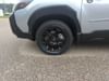 30 thumbnail image of  2025 Subaru Forester Wilderness