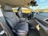 17 thumbnail image of  2025 Subaru Ascent Limited