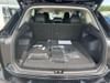 21 thumbnail image of  2025 Volkswagen Tiguan 2.0T SE
