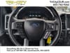 19 thumbnail image of  2019 Ford F-150 XLT