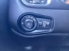 27 thumbnail image of  2022 Jeep Renegade Limited