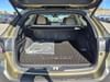 24 thumbnail image of  2025 Subaru Outback Limited