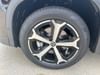 25 thumbnail image of  2025 Volkswagen Tiguan 2.0T SE