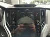 19 thumbnail image of  2025 Subaru Outback Limited