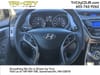 19 thumbnail image of  2013 Hyundai Elantra GLS