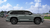 14 thumbnail image of  2026 Toyota Sequoia Platinum