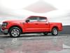 26 thumbnail image of  2023 Ford F-150 XLT