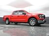 31 thumbnail image of  2023 Ford F-150 XLT