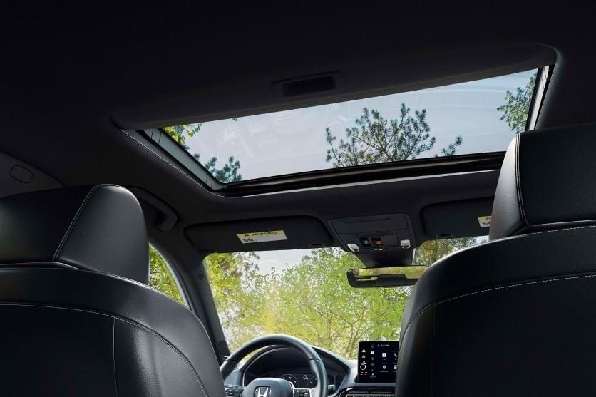 Interior view of a 2025 Honda Civic Hatchback featuring a sunroof, with lush green trees visible above, highlighting a spacious and modern design.