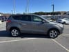 8 thumbnail image of  2013 Ford Escape SE
