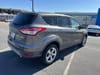 7 thumbnail image of  2013 Ford Escape SE