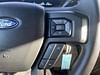 24 thumbnail image of  2019 Ford F-150 XLT