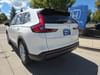 6 thumbnail image of  2026 Honda CR-V EX AWD