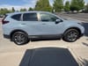 4 thumbnail image of  2020 Honda CR-V EX-L