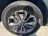 13 thumbnail image of  2020 Honda CR-V EX-L