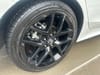 13 thumbnail image of  2023 Honda Civic Sedan Sport