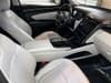 53 thumbnail image of  2024 Hyundai Tucson Limited