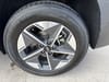 12 thumbnail image of  2025 Hyundai Tucson SEL