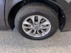 14 thumbnail image of  2025 Toyota Sienna XLE