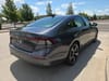4 thumbnail image of  2026 Honda Accord Sedan SE CVT
