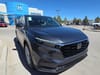3 thumbnail image of  2026 Honda CR-V EX AWD