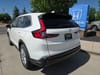 6 thumbnail image of  2026 Honda CR-V EX AWD
