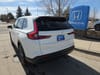 6 thumbnail image of  2026 Honda CR-V EX-L AWD