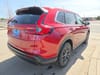 4 thumbnail image of  2026 Honda CR-V EX-L AWD