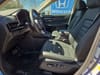 10 thumbnail image of  2026 Honda CR-V EX-L AWD