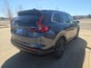 4 thumbnail image of  2026 Honda CR-V EX-L AWD