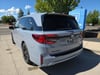 6 thumbnail image of  2026 Honda Odyssey Sport-L