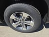 8 thumbnail image of  2026 Honda Pilot EX-L