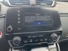 18 thumbnail image of  2019 Honda CR-V EX-L