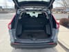 13 thumbnail image of  2024 Honda CR-V EX-L