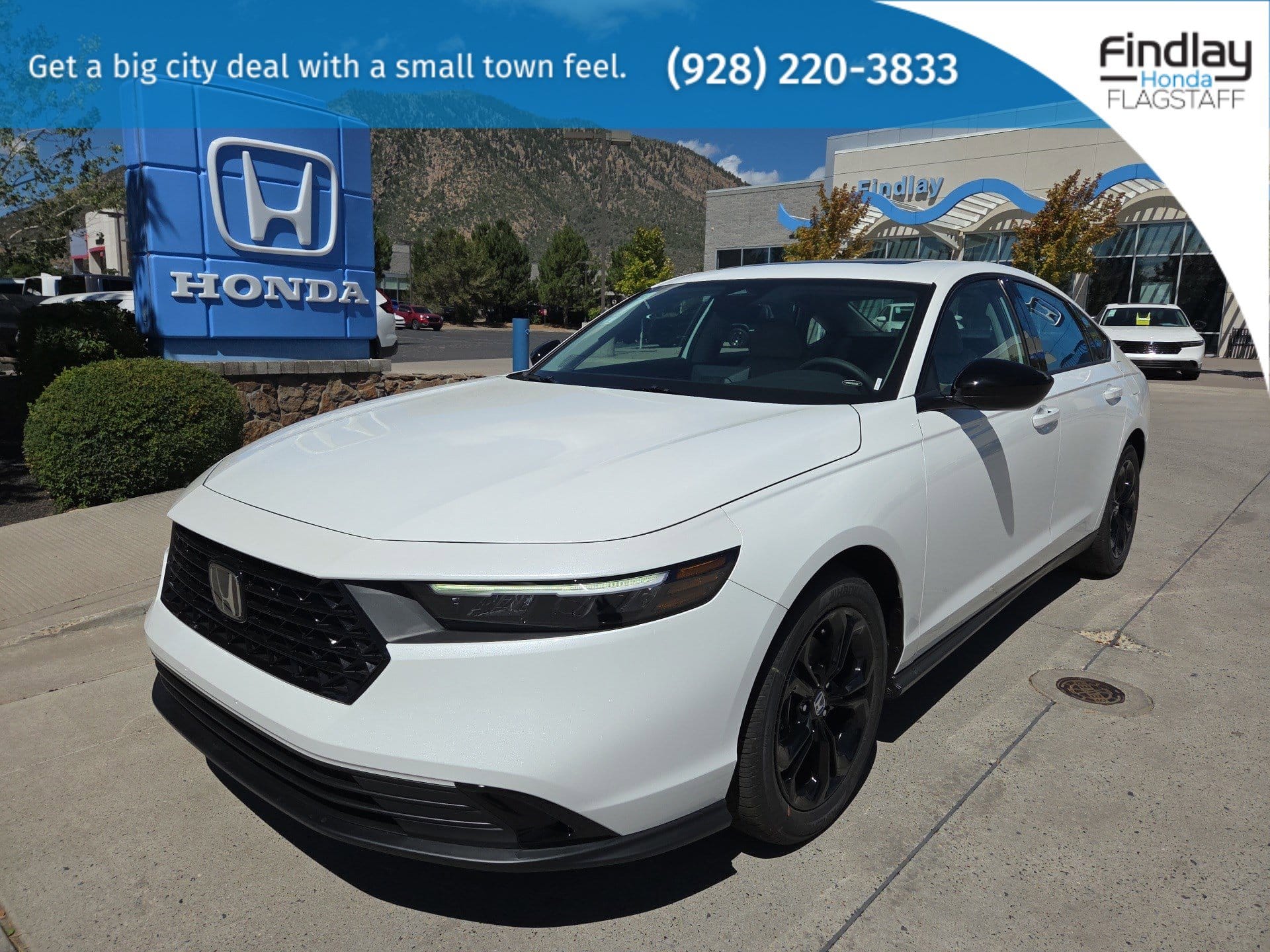 2025 Honda Accord SE's photo