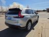 4 thumbnail image of  2026 Honda CR-V EX AWD