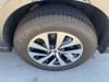 22 thumbnail image of  2024 Subaru Outback Premium